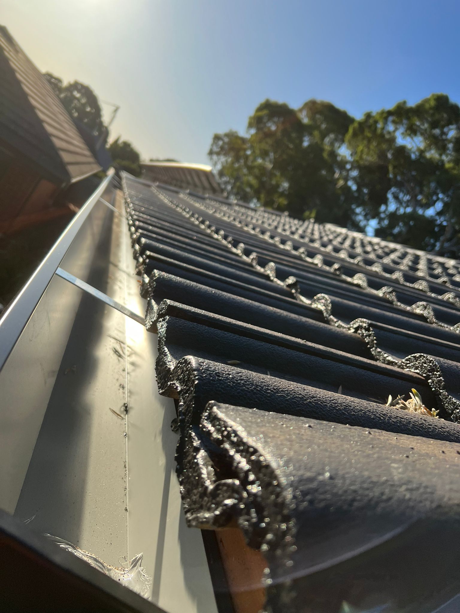 Gutter & Downpipe Replacement Adelaide