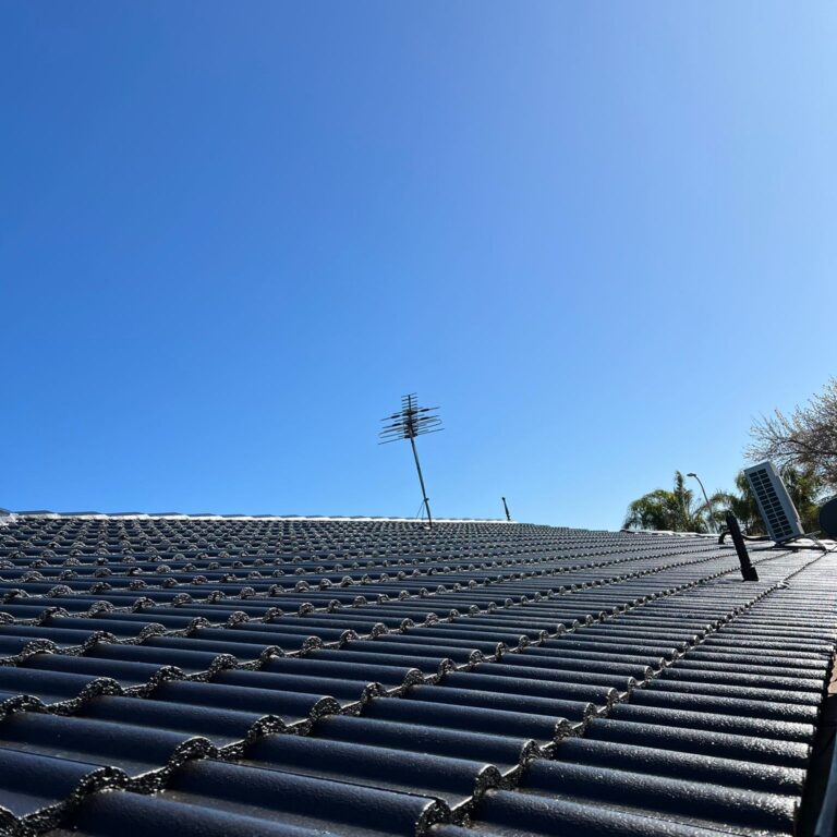 Roof Restoration