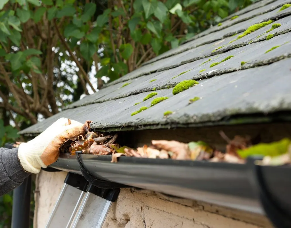 gutter-cleaning